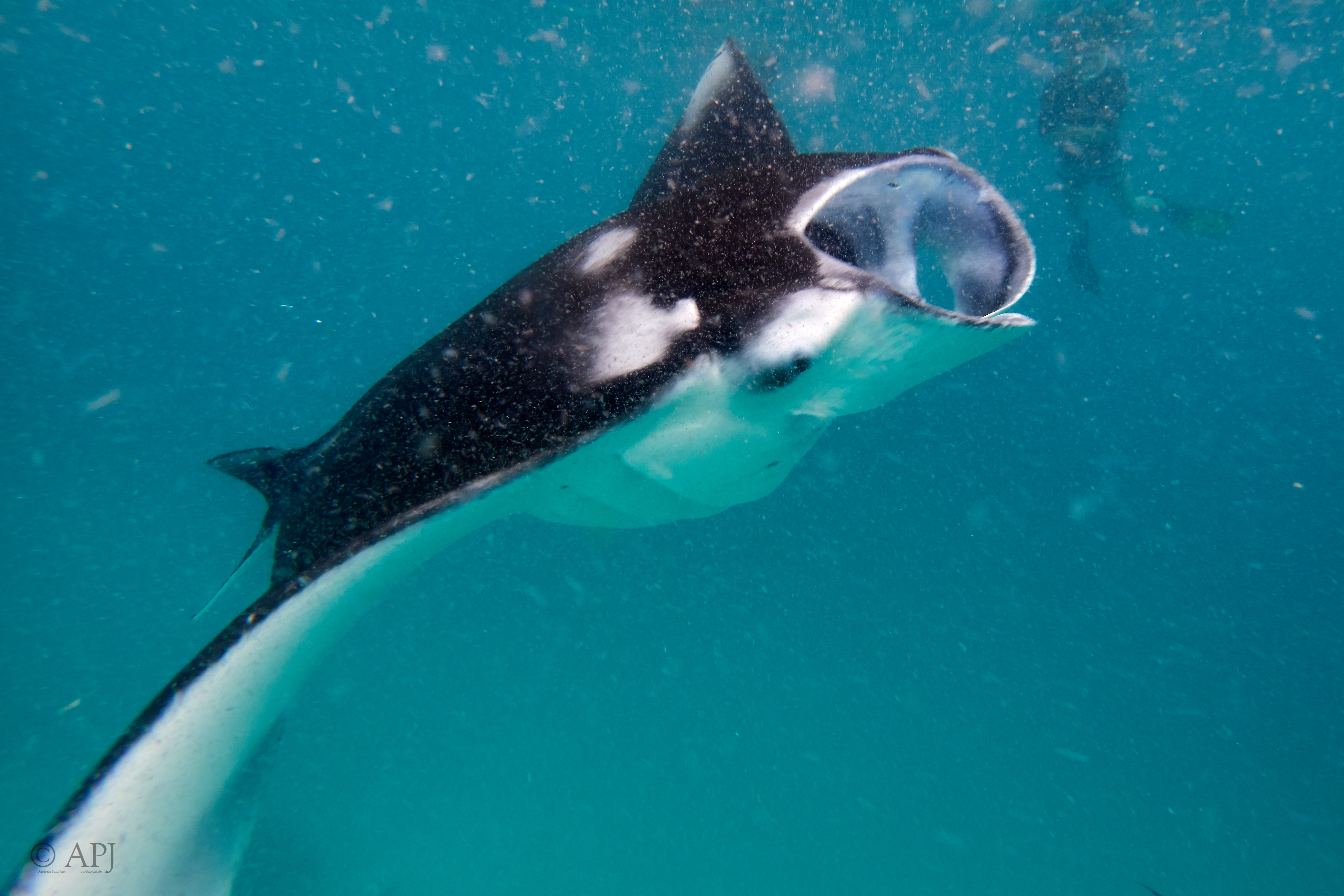 002386 17 08 17  Canon PowerShot G7 X Mark II   Malediven2017